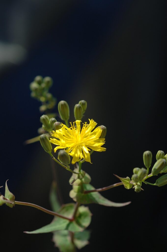 再開発プロジェクトへの投資はどのように行うべきか？